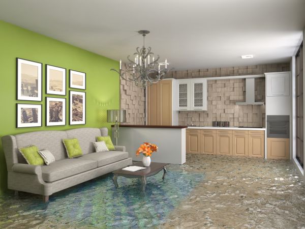 Wet Carpet Drying in Falls Church
