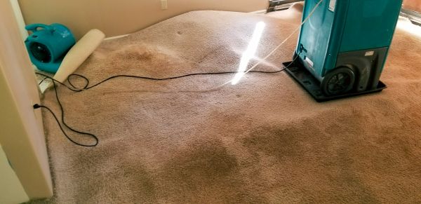 Carpet Water Extraction in Falls Church